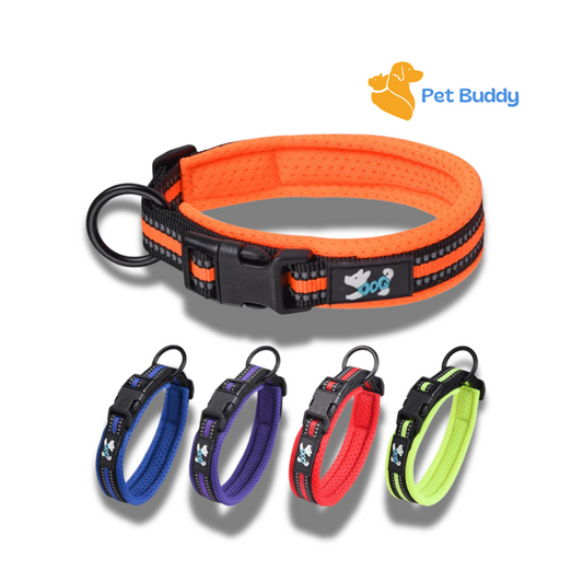 Adjustable Soft Mesh Padded Dog Collar