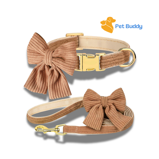 Fashion Dog Collar and Leash Set