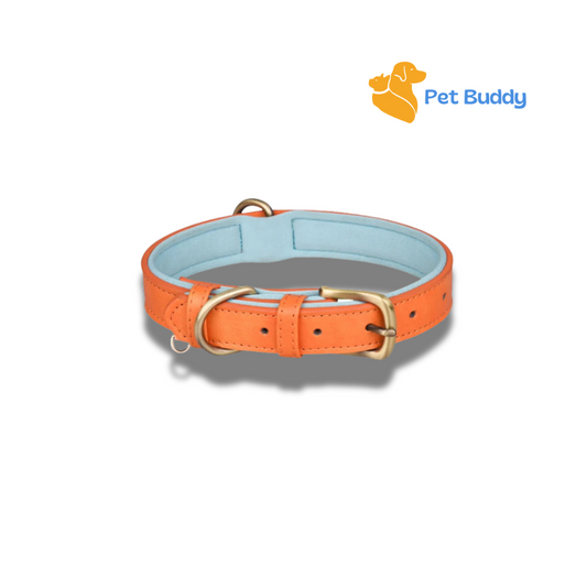 Padded Leather Dog Collar: Strong, Durable, and Adjustable