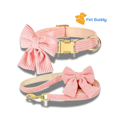 Fashion Dog Collar and Leash Set