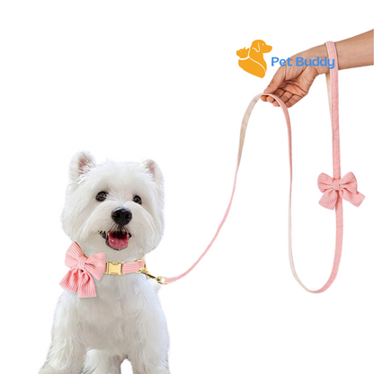 Fashion Dog Collar and Leash Set