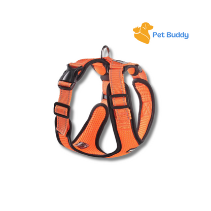 Summer Reflective Mesh Dog Harness