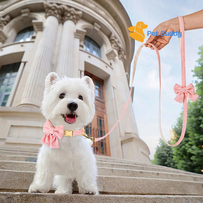 Fashion Dog Collar and Leash Set