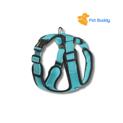 Summer Reflective Mesh Dog Harness