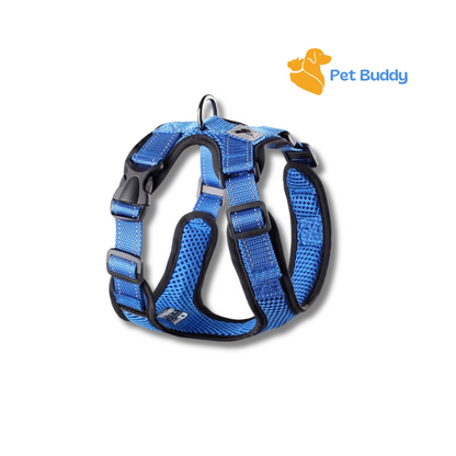 Summer Reflective Mesh Dog Harness