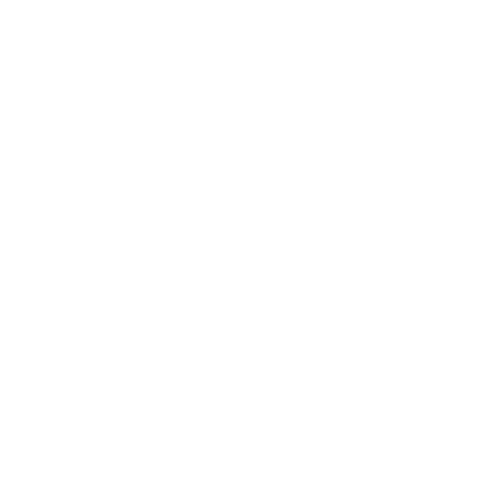 Pet Buddy