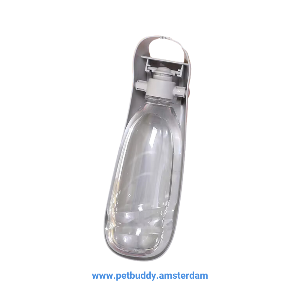 Portable Water Bottle