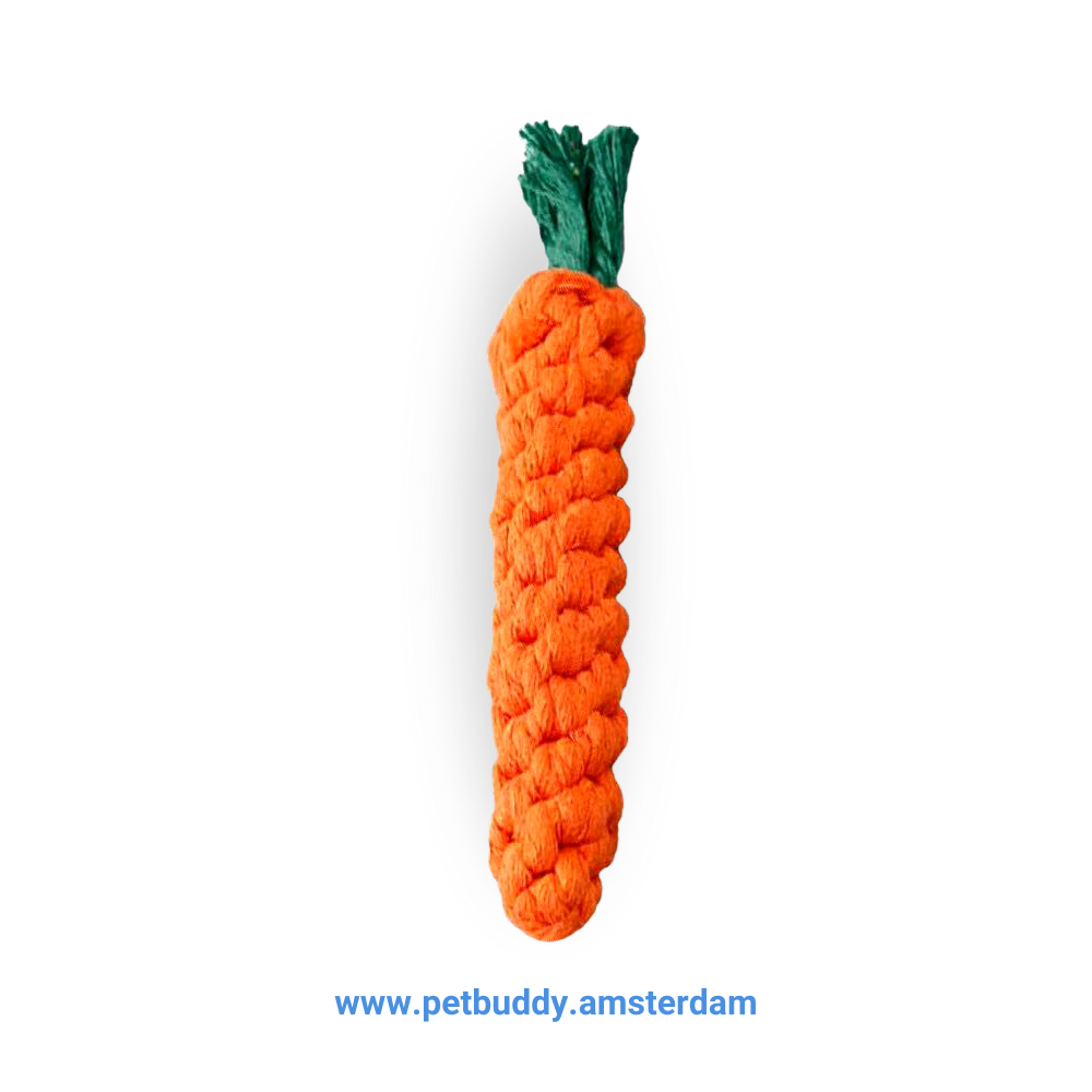 Durable Carrot Knot Dog Chew Toy