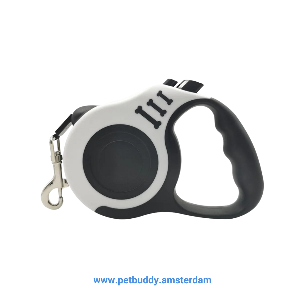 Retractable Dog Leash – Automatic, Flexible Lead