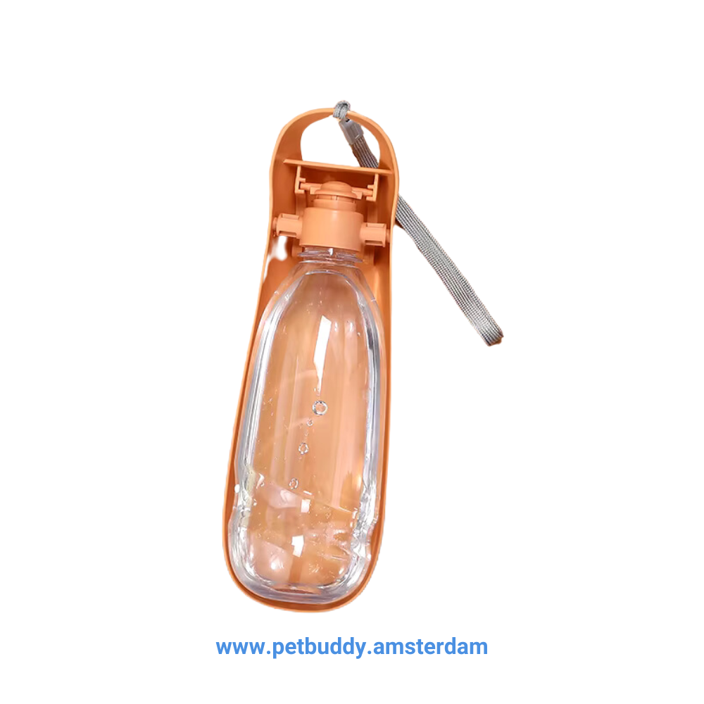 Portable Water Bottle