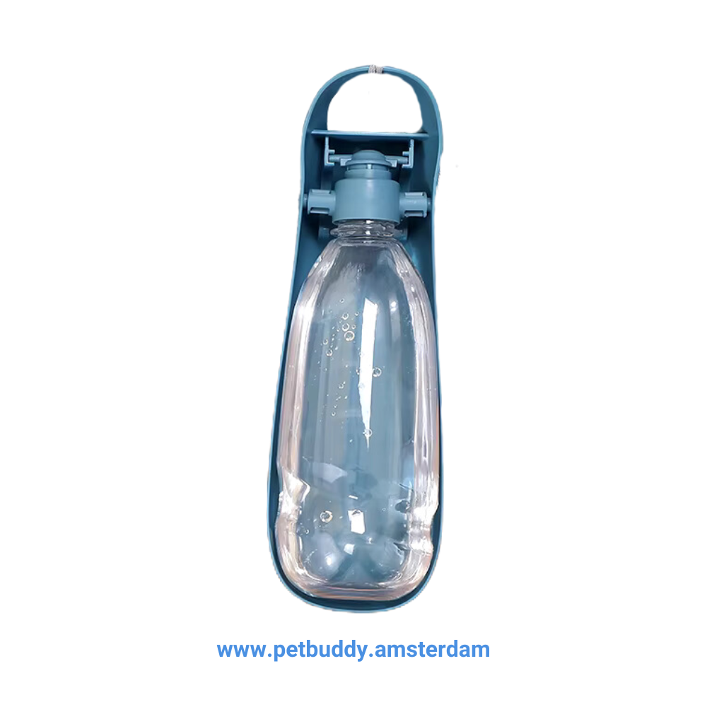 Portable Water Bottle